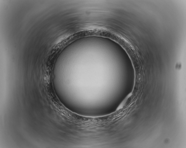 X0000099580869200805161233