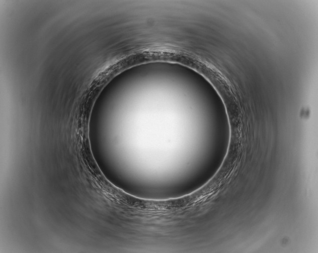 X0000099580870200805161232