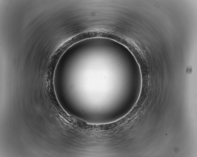X0000099580872200805161232