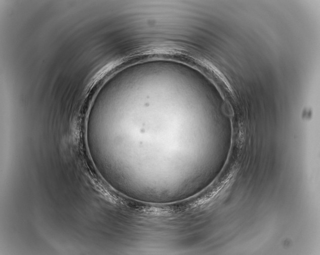 X0000099580874200805161232
