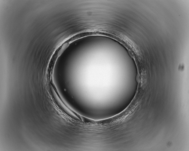 X0000099580876200805161232