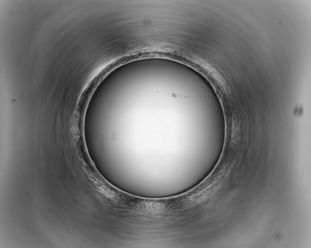 X0000099580878200805161232