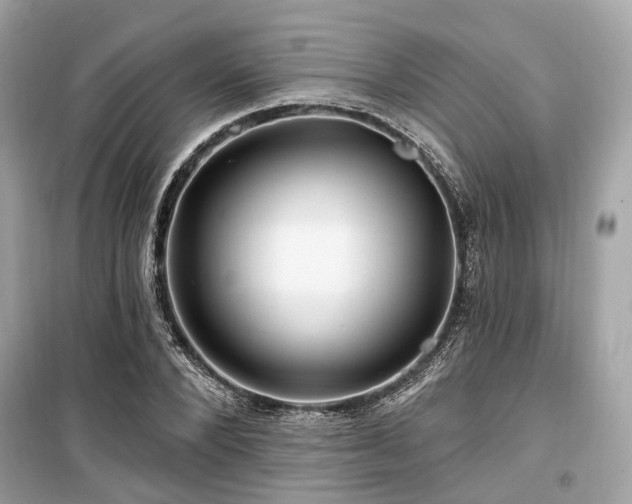 X0000099580880200805161232