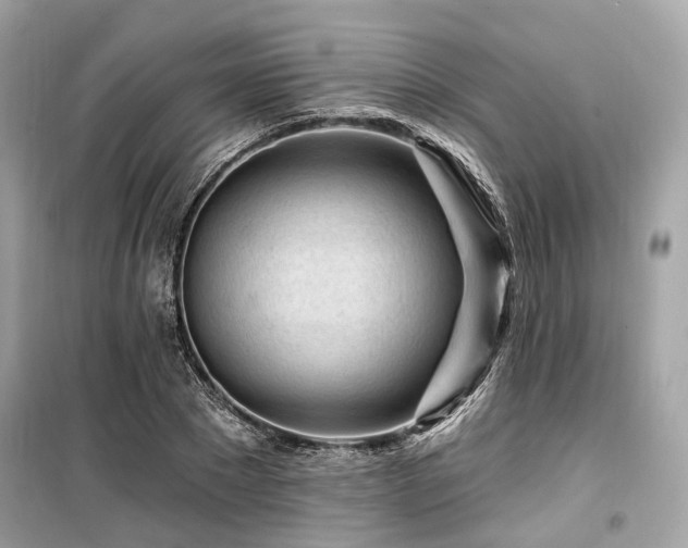 X0000099580881200805161232