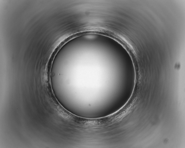 X0000099580883200805161232
