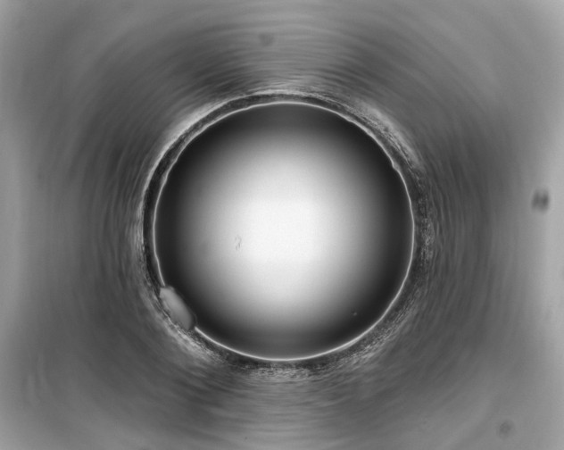 X0000099580884200805161232