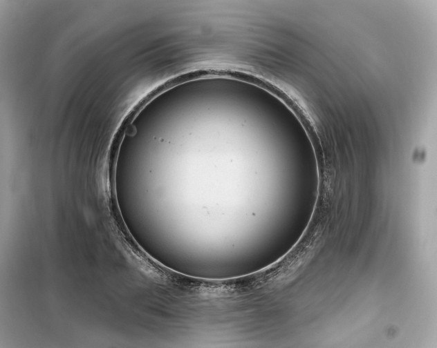 X0000099580887200805161232