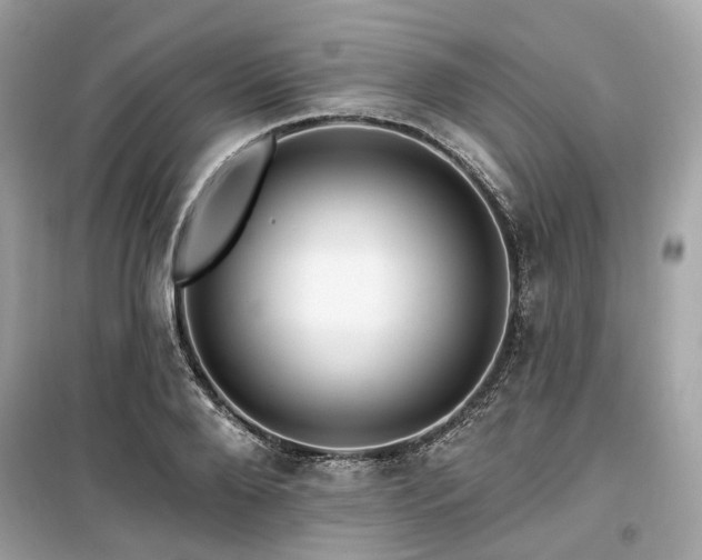 X0000099580888200805161232