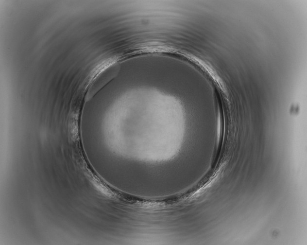 X0000099580889200805161232