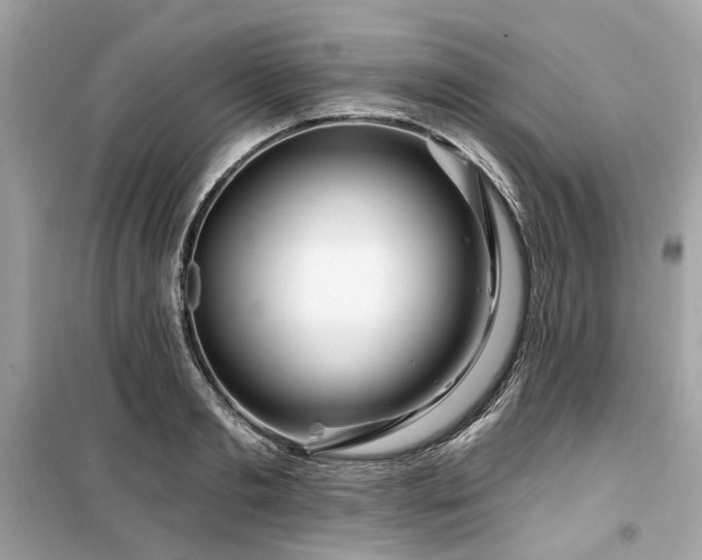 X0000099580893200805161232