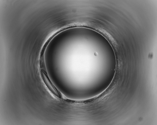 X0000099580894200805161232