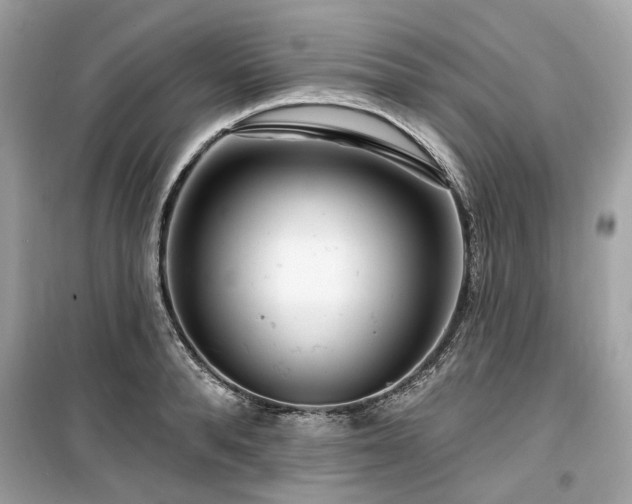 X0000099580896200805161232