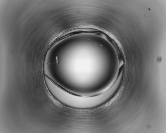 X0000099580897200805161232