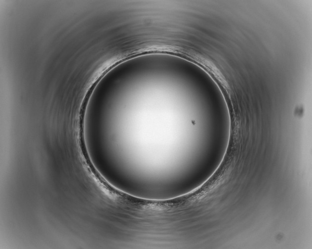 X0000099580898200805161232