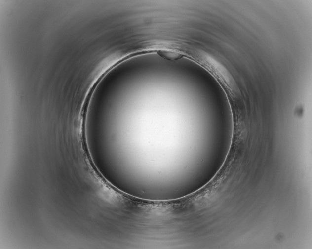 X0000099580900200805161232