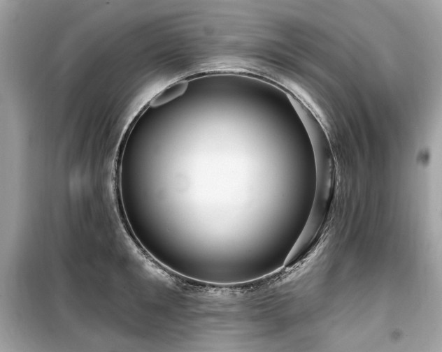X0000099580901200805161232