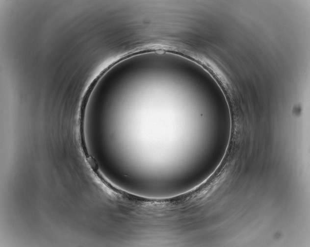 X0000099580902200805161232