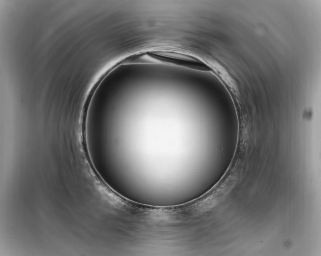 X0000099580904200805161232
