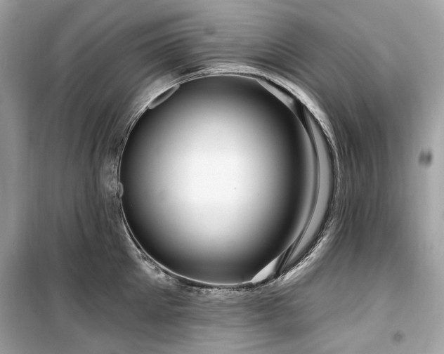 X0000099580905200805161232