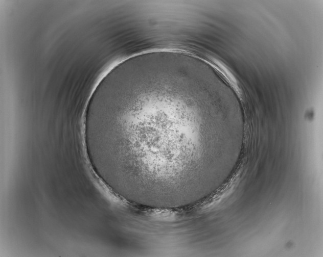 X0000099580907200805161232