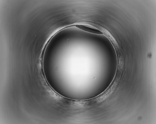X0000099580908200805161232