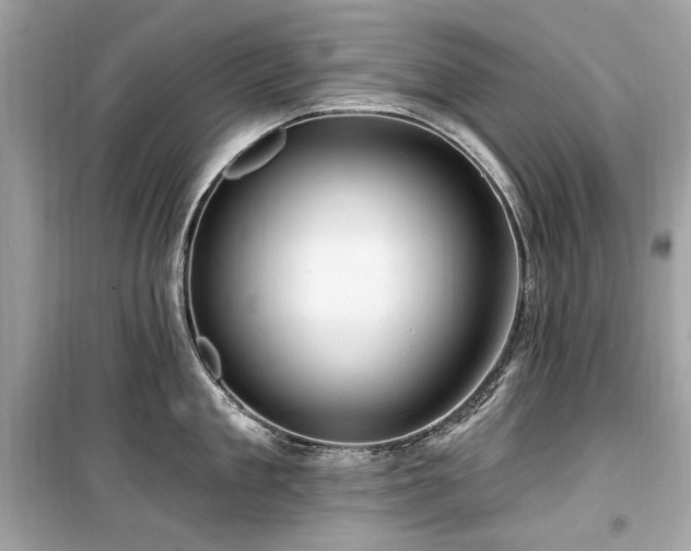 X0000099580909200805161232