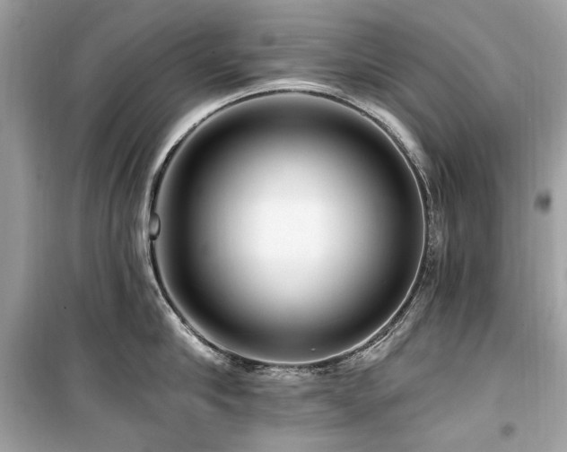 X0000099580910200805161232