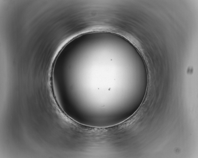 X0000099580912200805161232
