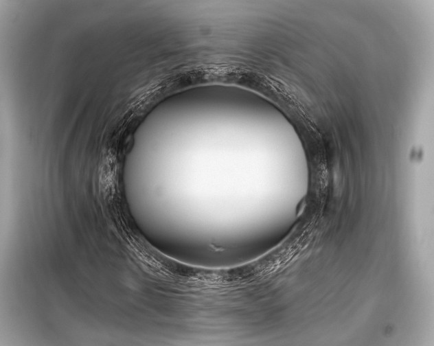 X0000099580914200805161231