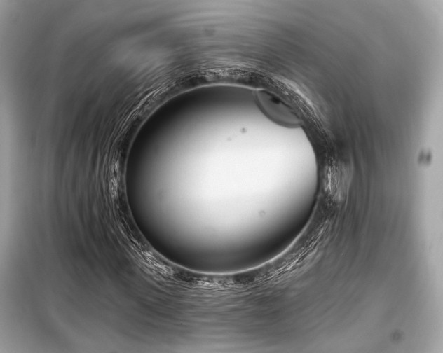 X0000099580915200805161231