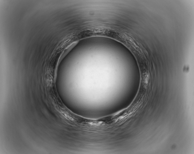 X0000099580916200805161231