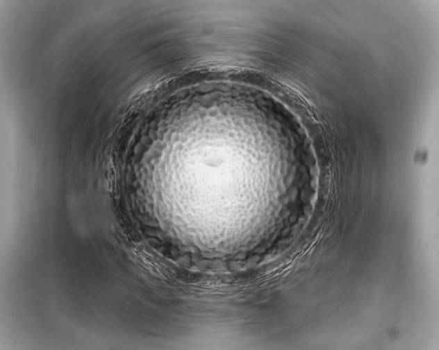 X0000099580917200805161231