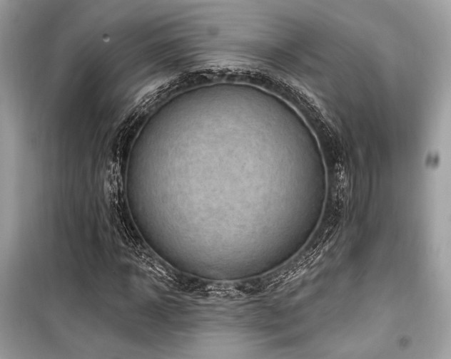 X0000099580918200805161231