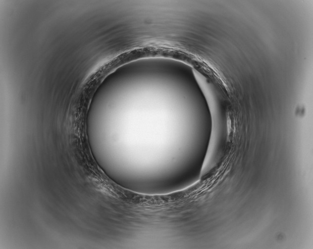 X0000099580919200805161231