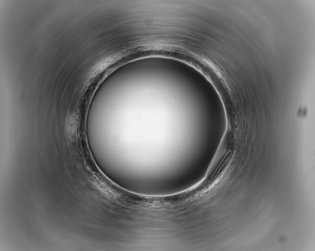 X0000099580922200805161231