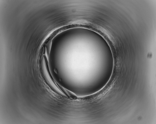 X0000099580923200805161231
