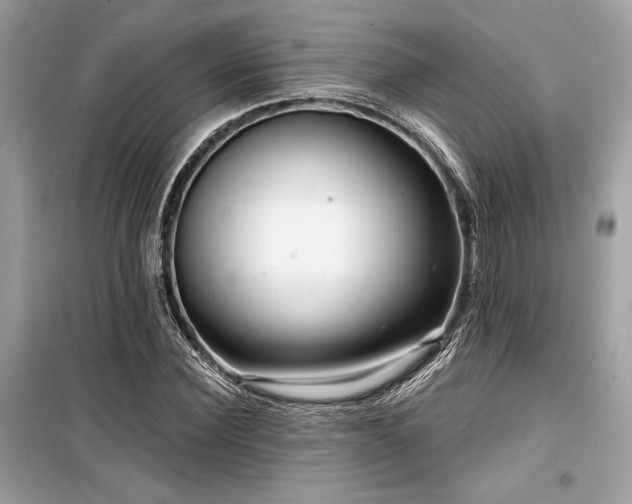 X0000099580924200805161231