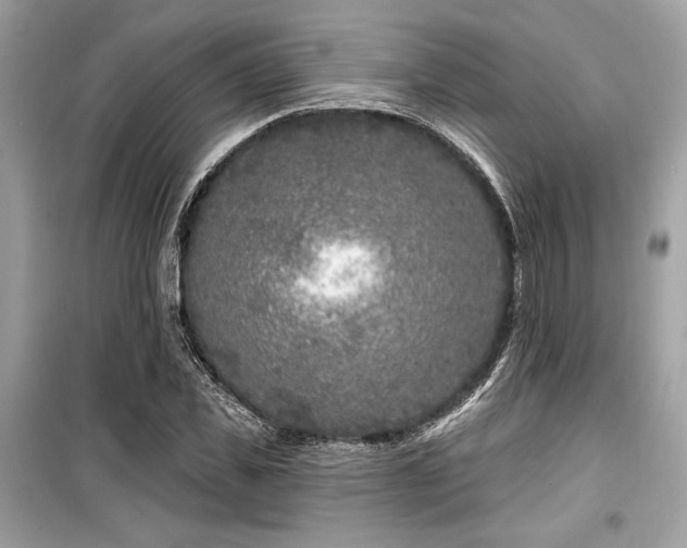 X0000099580925200805161231