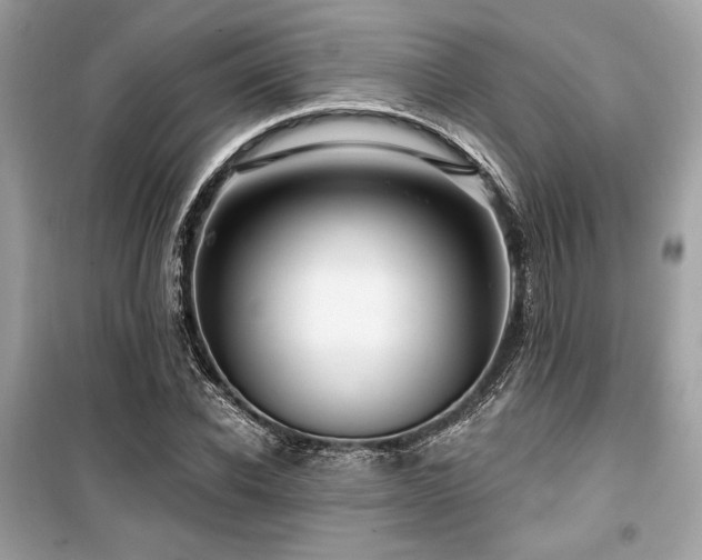 X0000099580926200805161231