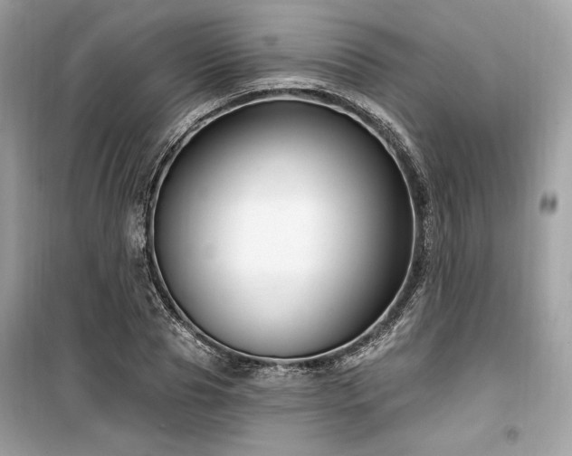 X0000099580929200805161231