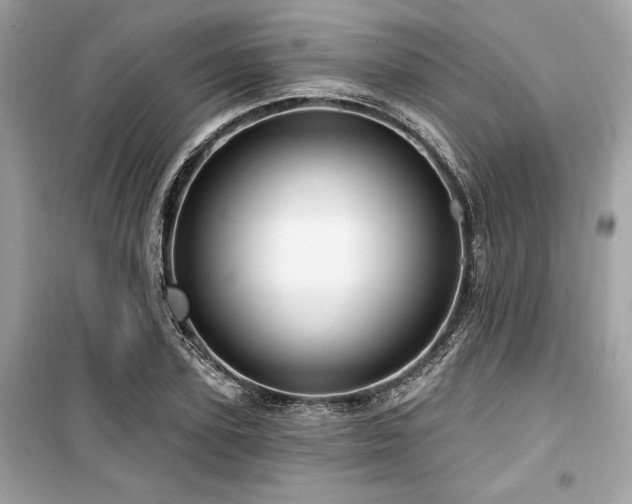 X0000099580931200805161231