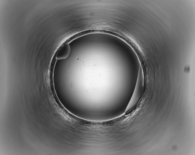 X0000099580932200805161231