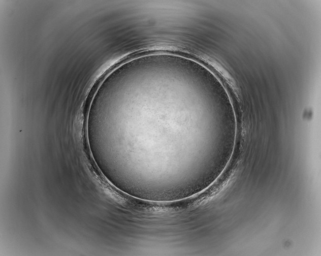 X0000099580933200805161231