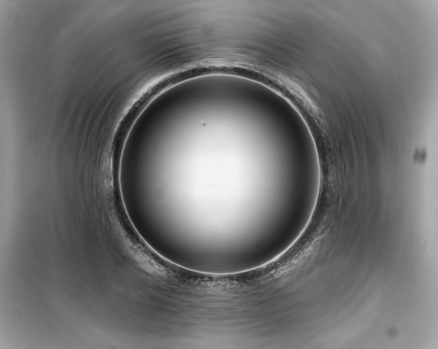 X0000099580934200805161232