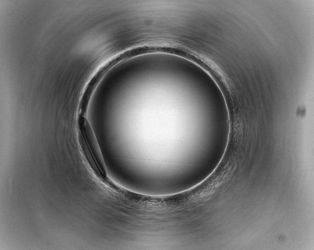 X0000099580935200805161232