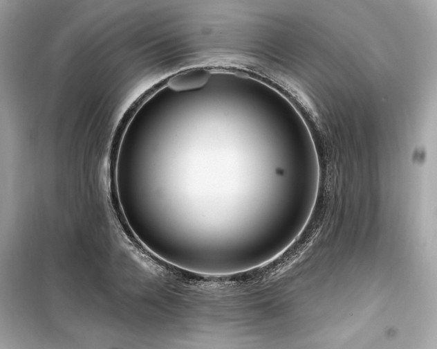 X0000099580936200805161232