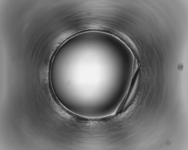 X0000099580938200805161232