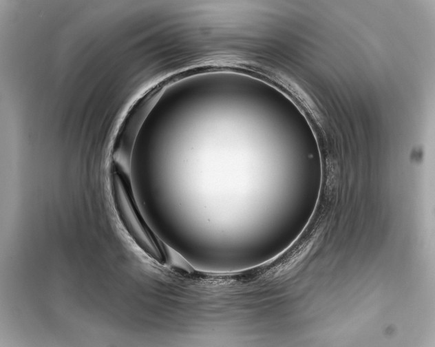 X0000099580939200805161232