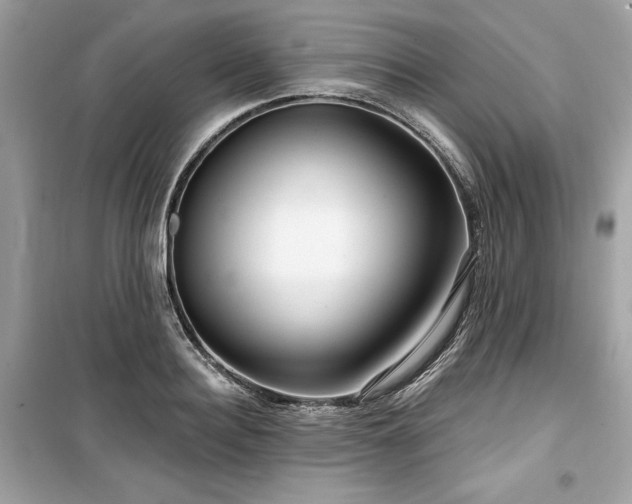 X0000099580940200805161232