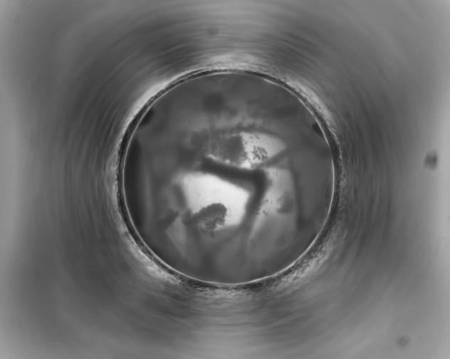 X0000099580941200805161232